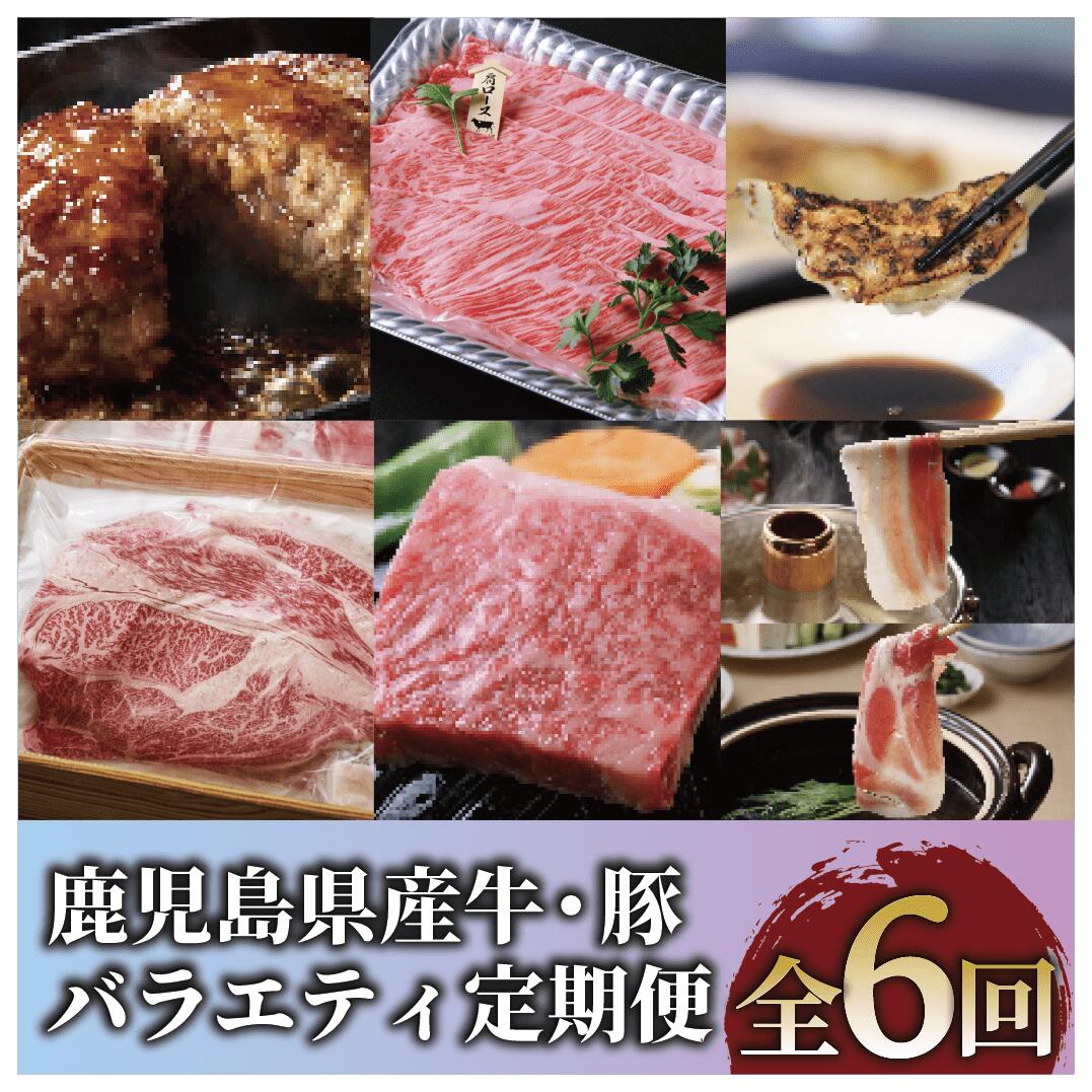 【ふるさと納税】＜定期便！全6回(連続)＞鹿児島県産牛・豚バラエティ定期便 牛肉 すき焼き しゃぶしゃぶ スライス 冷凍 肉 黒毛和牛 和牛 国産 肩ロース ステーキ サーロインステーキ 豚肉 黒豚 ハンバーグ 餃子