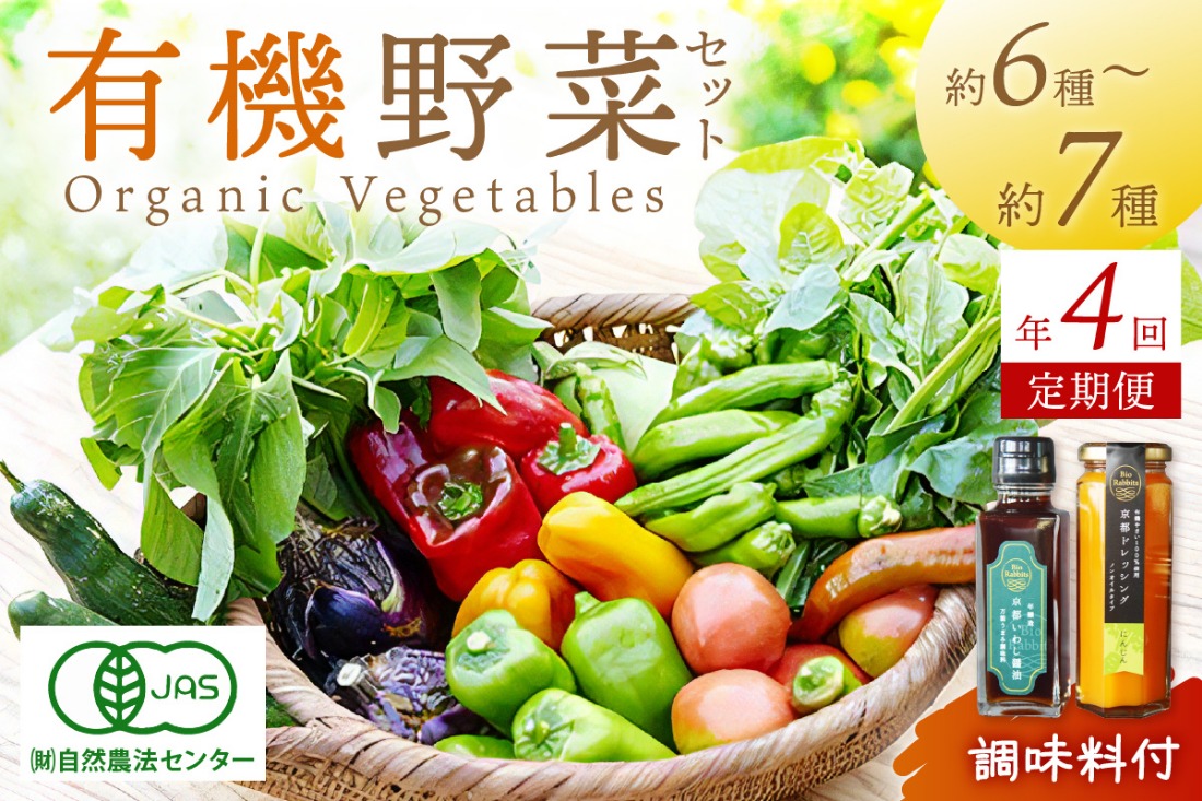 【年4回定期便】＜てんとうむしばたけ＞オーガニック野菜&調味料セット　有機野菜6～7種(2人用)＆調味料2種　BR00044