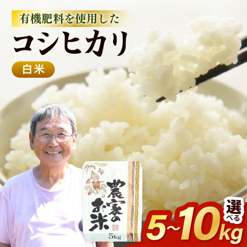 【ふるさと納税】令和7年産 コシヒカリ (白米) 【選べる容量：5kg / 10kg 】【こめ お米 こしひかり 白米 5キロ 10キロ 精米 ブランド米 ふるさと納税米】