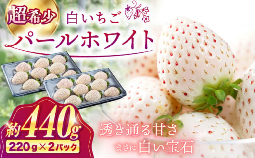 【1月発送】【佐賀県産いちご】パールホワイト 約220g×2パック【株式会社IMKCorporation】 [IBX023-2]