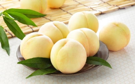 岡山白桃 ロイヤル 3玉×約300g （ 3Lサイズ ） 岡山県産 白桃 桃 もも モモ くだもの 果物 果実 フルーツ 国産 ギフト 贈り物 【 2026年7月上旬～8月下旬発送予定 】