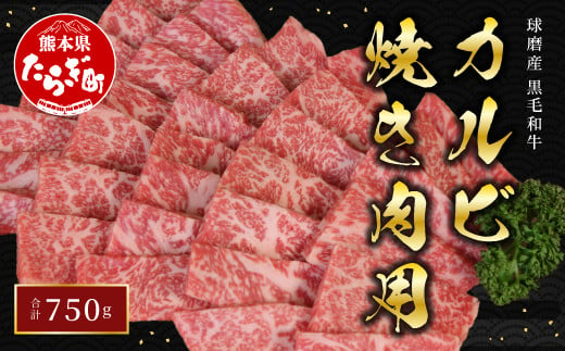 
【配送月が選べる】球磨産 黒毛和牛 カルビ 焼き肉 用 750g 前ハラ かいの身 友バラ【 牛肉 和牛 カルビ 食べ比べ 国産 旨味たっぷり 焼肉 JA 】 011-0003
