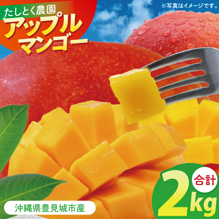 【ふるさと納税】沖縄県豊見城市産アップルマンゴー 約2kg｜マンゴー アップルマンゴー フルーツ くだもの 果物 数量限定 おきなわ 沖縄 沖縄フルーツ 豊見城市(DJ001)