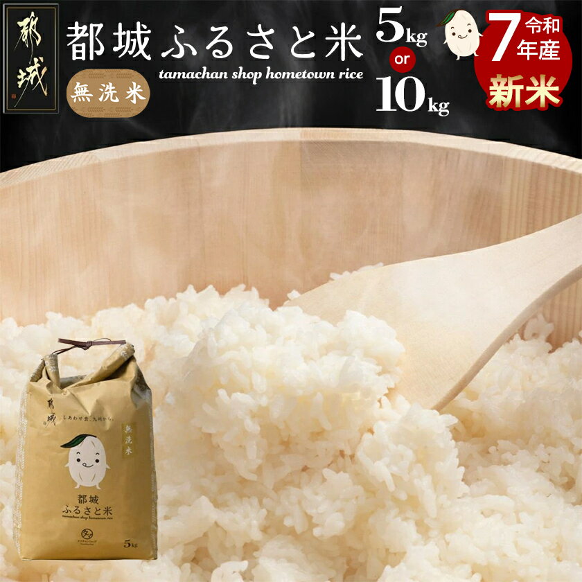 【ふるさと納税】【内容量が選べる！】都城ふるさと米(ひのひかり)無洗米 - 都城産ひのひかり 無洗米 5kg/10kg 都城産 ヒノヒカリ お米 おこめ 送料無料 SKU-9002 【宮崎県都城市は2年連続ふるさと納税日本一！】