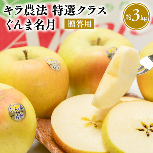 1～3月 完熟りんご ぐんま名月 約3kg 贈答用 特選クラス【青森りんご・平川市広船産・1月・2月・3月】【hi-0008-019】