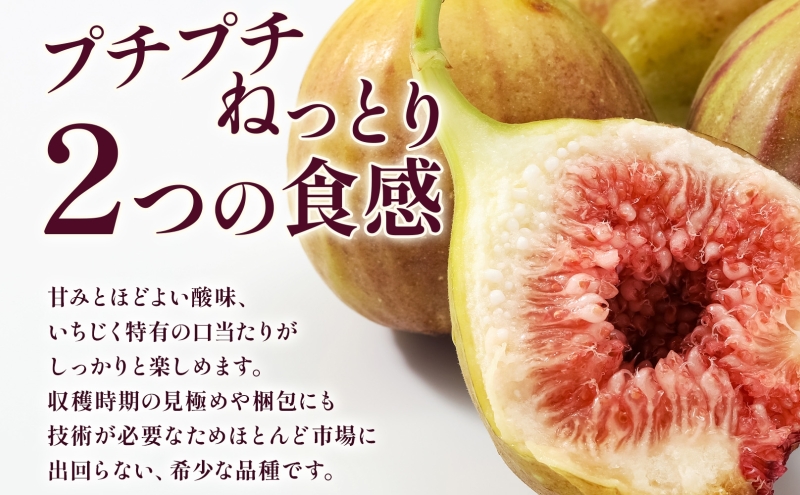 数量限定 いちじく 蓬莱柿 ほうらいし 約1kg 8粒～12粒 朝穫れ 果物 フルーツ 無花果 イチジク 愛知県産 デザート おやつ 食後 朝採り 産地直送 お取り寄せ 送料無料 名古屋西青果 愛知県