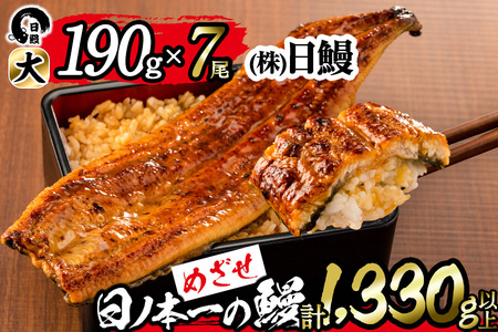 日ノ本一の鰻の蒲焼き＜大＞7尾セット(計1,330g以上) うなぎ 鰻 ウナギ 国産 鹿児島県産 九州産 蒲焼き 冷凍 うな重 ひつまぶし f0-034