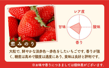 【4回定期便】紅白いちご（恋みのり・パールホワイト）の定期便 / いちご イチゴ 苺 いちご イチゴ いちご いちご いちご [IZZ017]