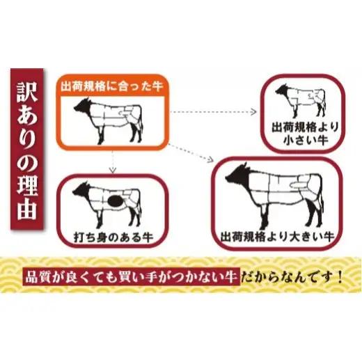 訳あり長崎県産和牛切り落とし(1,000g) 訳あり 牛肉 黒毛和牛 限定品