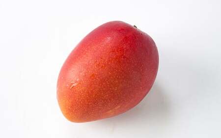 熊本県産 マンゴー 4玉 計約2kg フルーツ 果物 くだもの 熊本県産【2026年5月下旬発送開始】