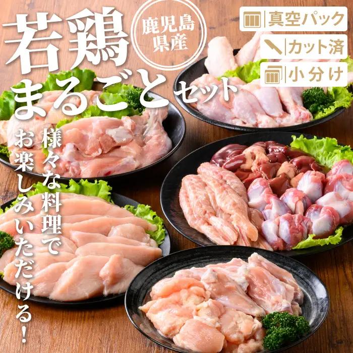 isa717 鹿児島県産 若鶏まるごとセット(合計3.05kg) 鹿児島県産 小分け 真空パック 鶏肉 鳥肉 もも肉 モモ肉 むね肉 ムネ肉 胸肉 ささみ ササミ 筋なし 砂肝 肝 手羽先 手羽中 手
