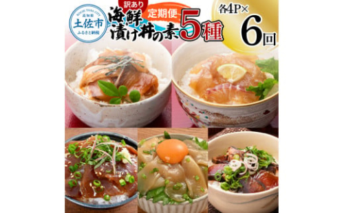 【6回定期便】訳あり土佐の海鮮漬け丼（5種×各4袋）セット 漬け丼の素 タイ 鯛 ブリ 鰤 マグロ 鮪 イカ カツオ 鰹 たたき 新鮮 魚 おかず おつまみ 惣菜 小分け【企業組合　宇佐もん工房】 [BQAB018]