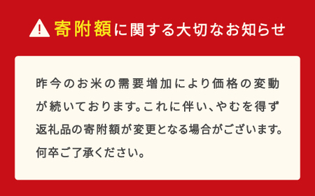 【先行予約】新米 米 つや姫 10kg 2025年産 令和7年産 無洗米 ja-tsmxa10 ※沖縄・離島への配送不可