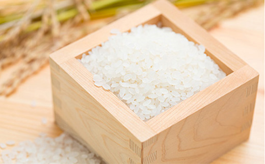 【定期便全6回】令和5年産よっしーの「つや姫」さまeco（精米）5kg×6 米 お米 おこめ 白米 山形県 新庄市 F3S-1628