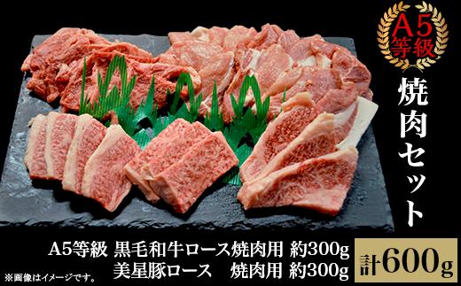 
焼肉セット600g（2～3人用）A5等級 黒毛和牛ロース 約300gと美星豚ロース 約300g 岡山県産
