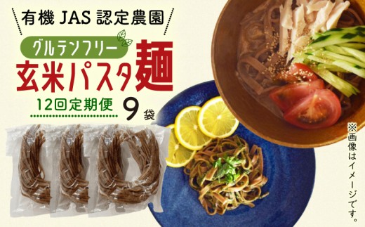 【12回定期便】有機グアバ農園のグルテンフリー玄米パスタ麺 100g×9袋セット | 定期便 グルテン フリー グルテンフリー 食品 麺 メン めん パスタ 人気 おすすめ 有機JAS認定農園 高知県 南国市
