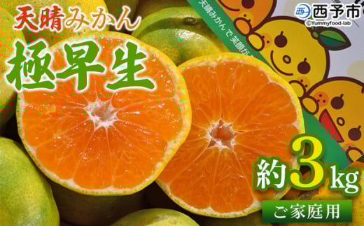 ＜天晴みかん 極早生 家庭用 約3kg＞ 温州ミカン 柑橘 果物 くだもの フルーツ 蜜柑 訳あり ワケアリ 自宅用 期間限定 季節限定 食べて応援 特産品 産地直送 愛媛県 西予市【常温】