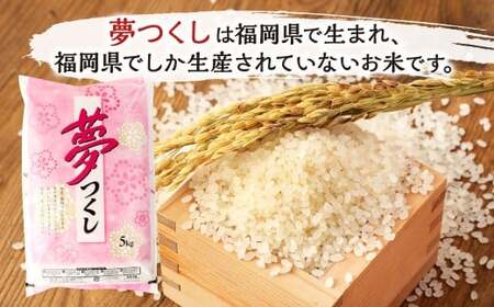 【3ヶ月定期便】 精米 食味鑑定士厳選 夢つくし 10kg（5kg×2袋）×3ヶ月 合計30kg 米 こめ コメ お米 単一原料米