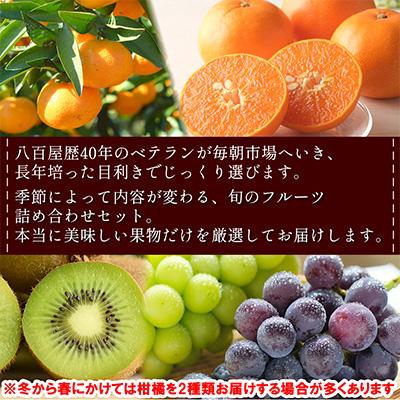 ふるさと納税 長崎市 【発送月固定定期便】旬のフルーツセット 季節により厳選した果物を1〜2品目　詰め合わせ全6回 |  | 01