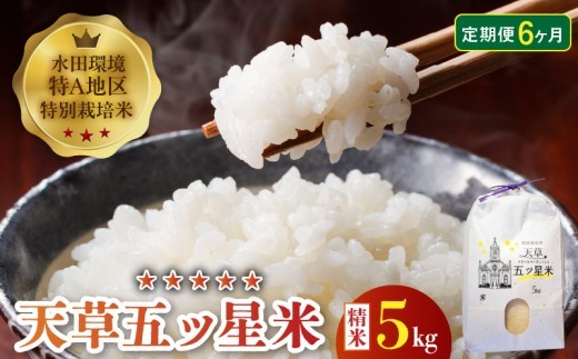 S061-T06_【6ヶ月定期便】特別栽培米 天草五ッ星米 精米 5kg【先行受付】