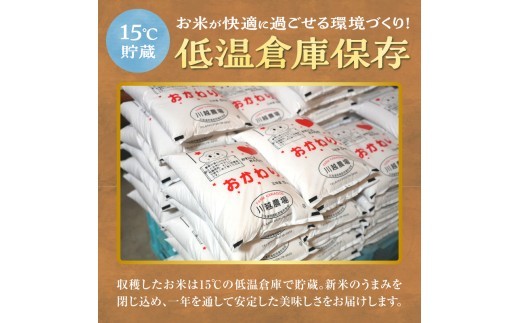 【定期便全6回】新米 令和8年産 川越さんちの おぼろづき 5㎏×1袋 毎月1回お届け R8U009-012