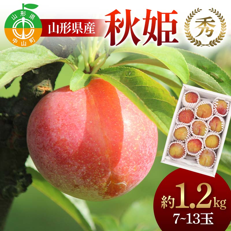 【ふるさと納税】山形県産 秋姫約1.2kg 7～13玉 秀 桃 もも フルーツ すもも スモモ 山形県産 F4A-0918
