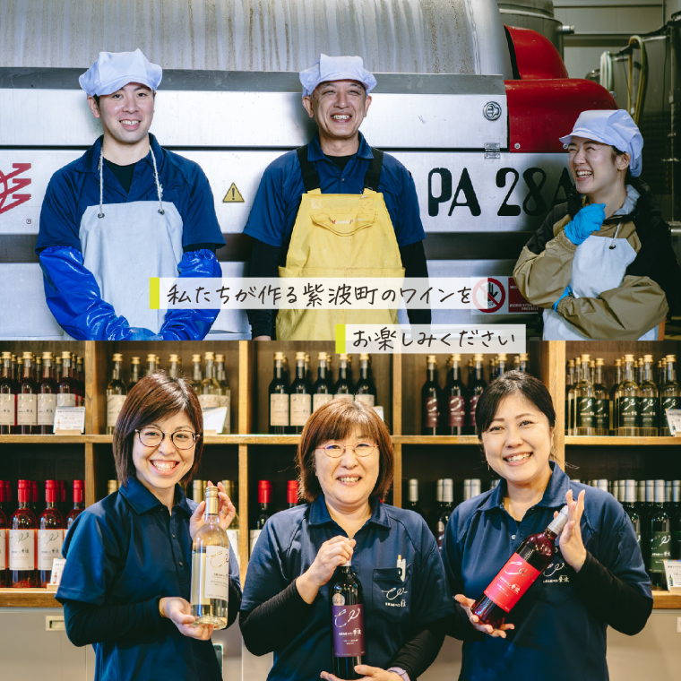 レプリゼント紫波 紅白2本セット (AL105) ワイン 辛口 赤 白 ブドウ 国産ワイン 自園自醸ワイン 日本ワイン 紫波町