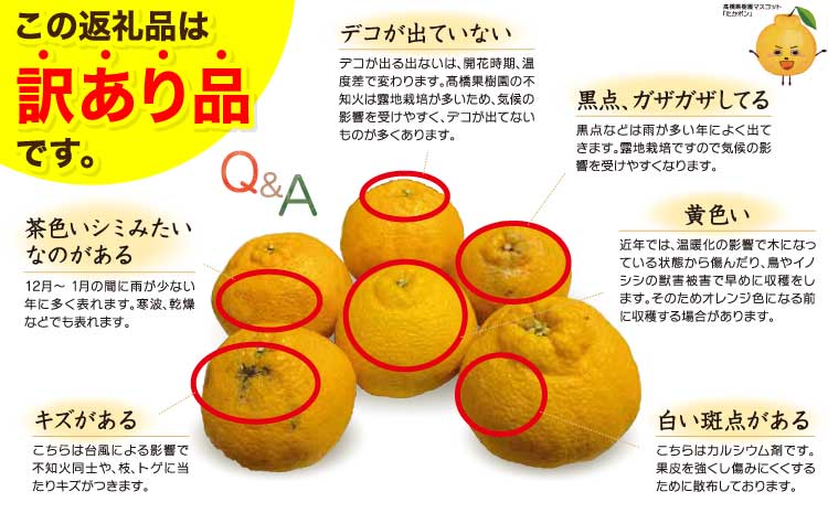 先行予約 宇城市産 訳あり 完熟不知火 約7kg【2027年2月上旬～3月下旬頃順次発送予定】柑橘 フルーツ 果物 くだもの デコポンと同じ品種 甘い 酸味 甘味 さっぱり みかん ミカン 家庭用 キ