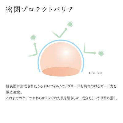 ふるさと納税 益城町 ドモホルンリンクル 保護乳液 |  | 02