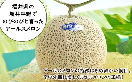 【先行予約】【訳あり】坂井市産 アールスメロン 2玉 【2024年9月上旬以降順次発送予定】[A-3232]