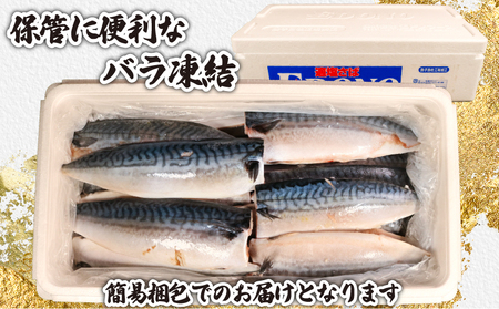 訳あり 適塩さば 5kg 鯖