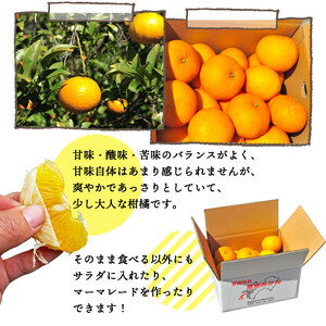 ＜愛媛県西予市産 甘夏 約8kg 家庭用＞ 果物 くだもの ミカン 柑橘 フルーツ あまなつ 産地直送 特産品 段畑みかん 愛媛県 西予市【常温】『2027年3月中旬～4月中旬迄に順次出荷予定』ADM