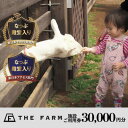 【ふるさと納税】BBQやキャンプなども楽しめる複合施設 THE FARM利用券30,000円分【1435763】