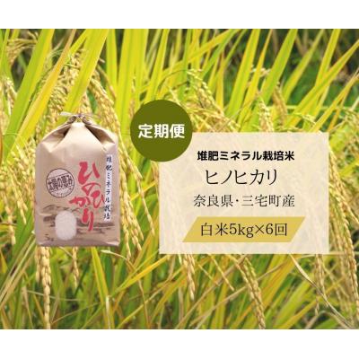 ふるさと納税 三宅町 【6回定期便】ひのひかり 白米 5kg×6回 全30kg 奈良県 三宅町 ヒノヒカリ 志埜米穀店 |  | 01