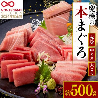 ふるさと納税 宿毛市 本マグロ 赤身 中トロ 大トロ 3種 セット 500g