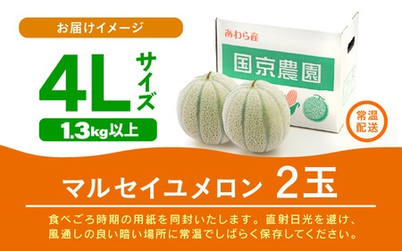  【先行予約】マルセイユメロン 2玉入 3L（1kg以上×2玉）高糖度で抜群に美味しい赤肉メロン ／ 果物 フルーツ 産地直送 ※2024年6月上旬以降発送