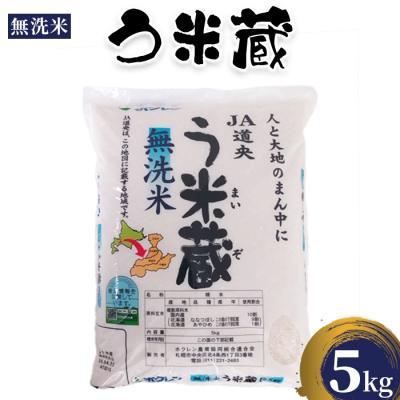 ふるさと納税 恵庭市 う米蔵無洗米5kg【29002504】