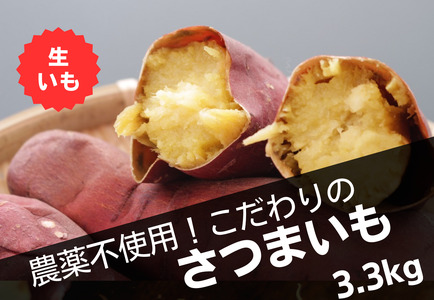 Ａ-11　うやま農園のさつまいも　3.3kg