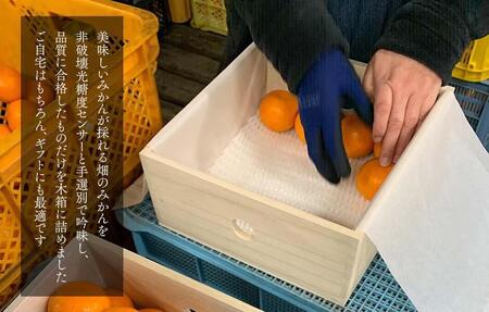 みかん めっちゃうまいんじゃ 木箱入 約5kg（内容量4.3kg） みかんの会厳選 特選品 M S 2S サイズのいずれか 和歌山県産 産地直送 S品 贈答用 【みかんの会】