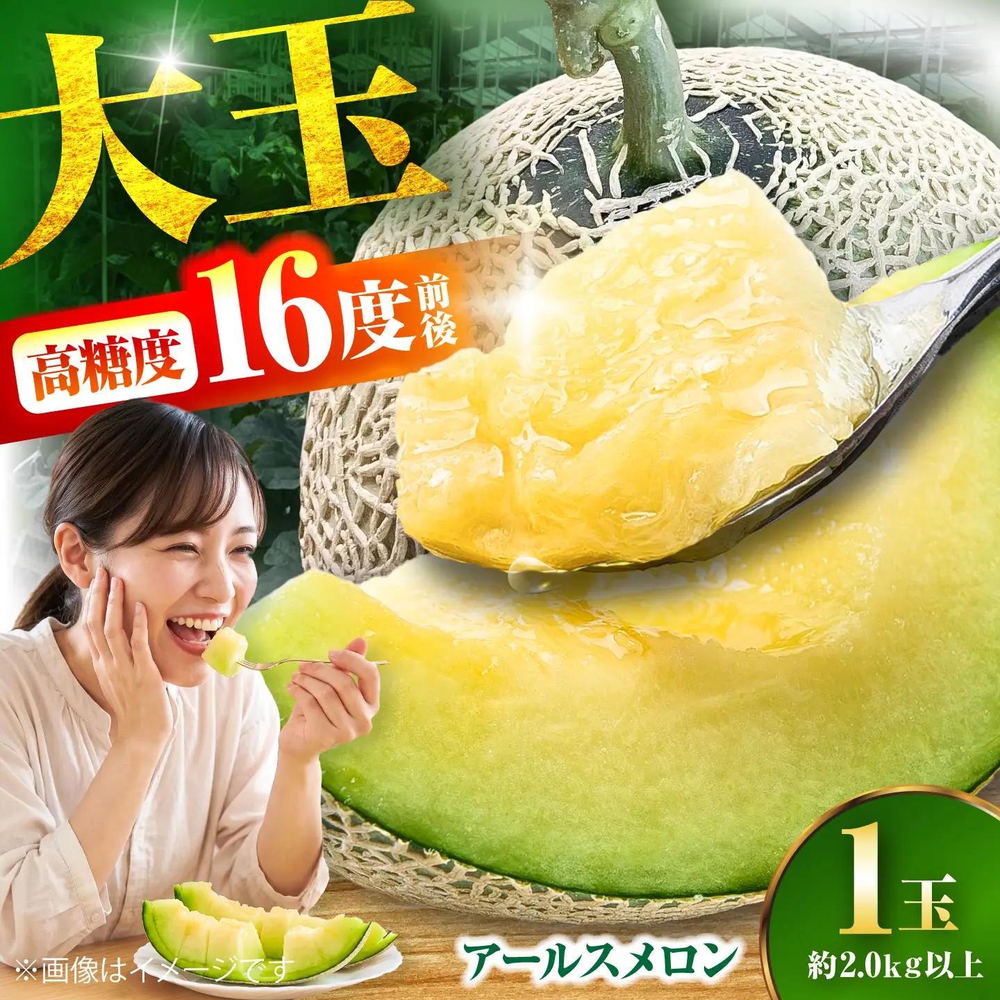 【数量限定30セット】神奈川県産 津久井浜 温室メロン アールスメロン 大玉 糖度16度前後 約2.0kg以上 1玉【小林マルモ農園】[AKJG001]