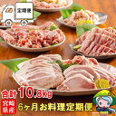 【ふるさと納税】【お届け月が選べる】6回 定期便 豚 鶏肉 小分け お料理 セット 計10.8kg [甲斐精肉店 宮崎県 美郷町 31as0066] 肉 毎月 お届け 冷凍 宮崎県産 国産 若鶏 鳥 切落し ロース 生姜焼き とんかつ ひき肉 ミンチ もも カット バラ スライス 薄切り カレー