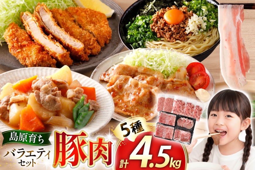 
                  AJ666 島原育ちの豚肉セット 計4.5kg [ 豚肉 ぶた 豚ロース とんかつ用 豚バラ しゃぶしゃぶ 薄切り 豚小間 こま切れ 豚ミンチ セット 小分け バラエティ スターゼン株式会社 長崎県 島原市]
                