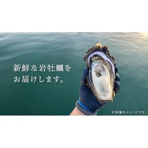生食可 天然岩牡蠣 5個 瀬戸内産  《ナイフ・軍手付き》 