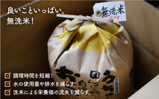 無洗米5kg お米 米 ふっくら ツヤツヤ 甘い 国産 5kg 無洗米  長崎県産 人気 ごはん 東彼杵町/彼杵の荘 [BAU056]