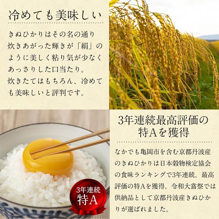 【6回定期便】無洗米真空パック 10kg×6回 ※北海道・沖縄・その他離島への配送不可