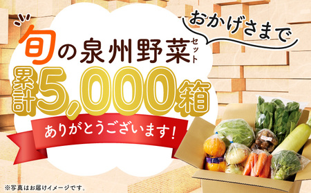 泉州野菜 定期便 全12回 7種類以上 詰め合わせ 国産 新鮮 冷蔵【毎月配送コース】