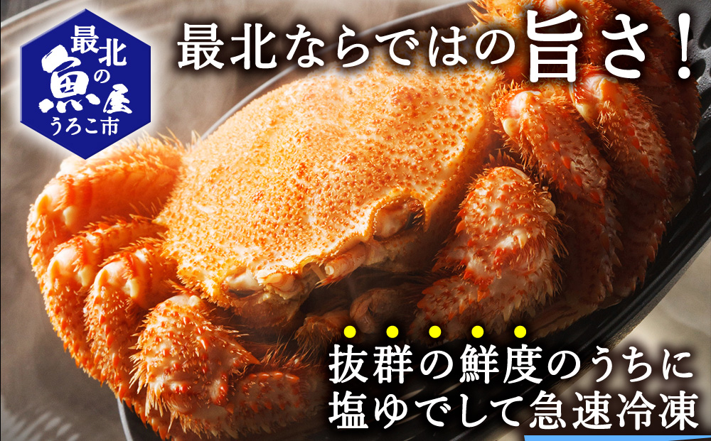 北海道オホーツク海産　浜ゆで毛がに　約400g×2尾