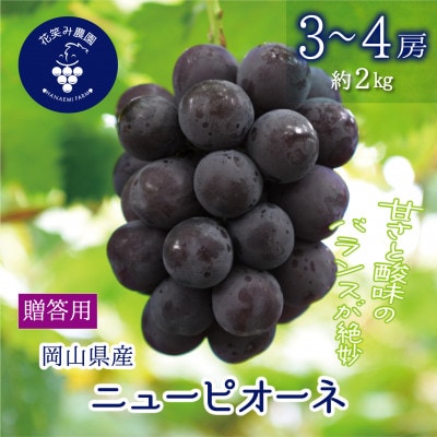 【2026年先行受付】岡山　花笑み農園の『ニューピオーネ』贈答用　約2kg(3～4房)　P-2上【配送不可地域：離島・北海道・沖縄】【1627358】