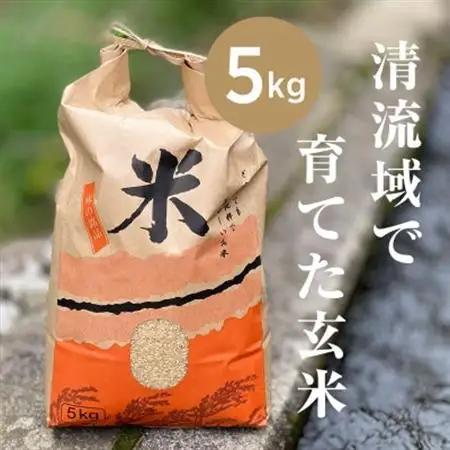 【令和8年産】山間の清流を引き込んだ田んぼで作った「きぬむすめ玄米」5kg【1573255】