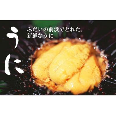 ふるさと納税 普代村 【期間限定 寄付金額改定】【厳選】普代産天然生うに 瓶詰め1本 約170g 牛乳瓶入りウニ 三陸 |  | 03